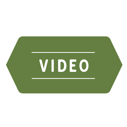 category-badges-green-video500_1178160828